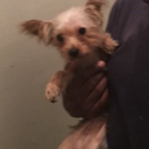 Meet your Posher, Amina